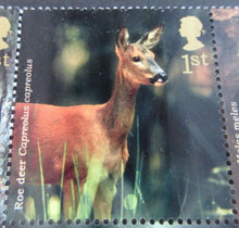 Load image into Gallery viewer, 2004 WOODLAND ANIMALS 1ST CLASS SET OF TEN STAMPS MNH PRESENTED IN STAMP HOLDER
