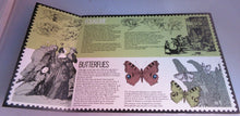 Load image into Gallery viewer, 1981 BRITISH MINT STAMPS COLLECTORS PACK
