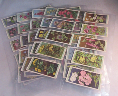 WILLS CIGARETTE CARDS WILD FLOWERS COMPLETE SET OF 50 IN CLEAR PLASTIC PAGES