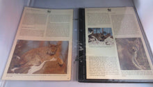 Load image into Gallery viewer, Lynx WWF Info Sheets Exclusive Stamps from Portugal and FDC&#39;s
