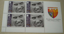 Load image into Gallery viewer, 2009 QE II&#39;S ROYAL GRANDCHILDREN - PRINCE WILLIAM STAMP COVER/ 4 MNH STAMPS/INFO
