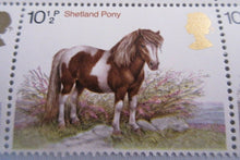 Load image into Gallery viewer, 1978 SHETLAND PONY 10 1/2p BLOCK OF 6 STAMPS MNH WITH TRAFFIC LIGHTS
