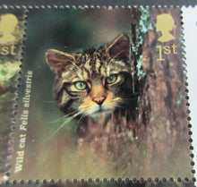 Load image into Gallery viewer, 2004 WOODLAND ANIMALS 1ST CLASS SET OF TEN STAMPS MNH PRESENTED IN STAMP HOLDER
