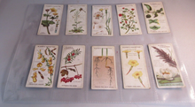 Load image into Gallery viewer, PLAYERS CIGARETTE CARDS STRUGGLE FOR EXISTENCE COMPLETE SET OF 25 IN CLEAR PAGES
