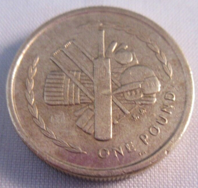 1999 ISLE OF MAN £1 ONE POUND COIN IN CLEAR PROTECTIVE FLIP