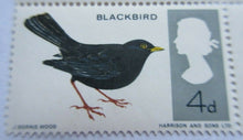 Load image into Gallery viewer, 1966 BIRDS 4d BLOCK OF 4 STAMPS MNH WITH CLEAR FRONTED STAMP HOLDER
