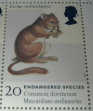 Load image into Gallery viewer, 1997 ENDANGERED SPECIES COMMON DORMOUSE 20p BLOCK OF 6 STAMPS MNH
