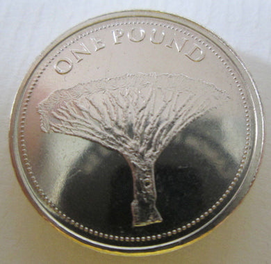2016 GIBRALTAR £1 ONE POUND COIN THE DRAGON TREE BUNC FROM MINT SEALED BAG