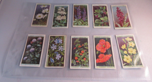 Load image into Gallery viewer, WILLS CIGARETTE CARDS WILD FLOWERS COMPLETE SET OF 50 IN CLEAR PLASTIC PAGES
