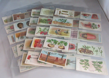 Load image into Gallery viewer, WILLS CIGARETTE CARDS GARDENING HINTS COMPLETE SET OF 50 IN CLEAR PLASTIC PAGES
