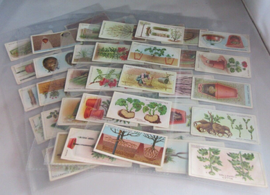 WILLS CIGARETTE CARDS GARDENING HINTS COMPLETE SET OF 50 IN CLEAR PLASTIC PAGES