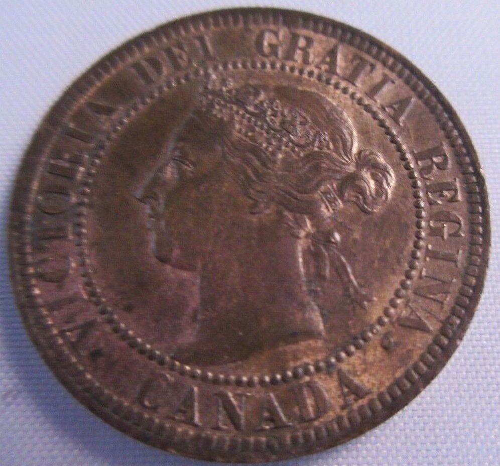 1893 CANADA ONE CENT COIN MS63-64 PRESENTED IN CLEAR FLIP