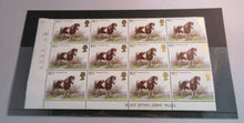 Load image into Gallery viewer, 1978 SHETLAND PONY 10 1/2p BLOCK OF 12 STAMPS MNH
