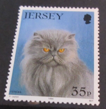 Load image into Gallery viewer, QUEEN ELIZABETH II  JERSEY DECIMAL STAMPS CATS X 3 MNH IN STAMP HOLDER
