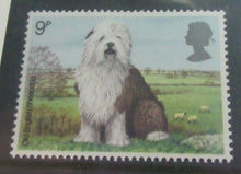 Load image into Gallery viewer, 1978 DOGS BRITISH POST OFFICE MINT STAMPS PRESENTATION PACK
