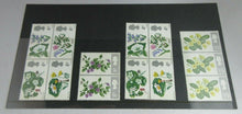 Load image into Gallery viewer, 1966 FLOWERS 4d 9d &amp; 1/9 - 13 STAMPS MNH PRESENTED IN CLEAR FRONTED STAMP HOLDER
