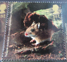 Load image into Gallery viewer, 2004 WOODLAND ANIMALS 1ST CLASS SET OF TEN STAMPS MNH PRESENTED IN STAMP HOLDER
