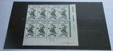 Load image into Gallery viewer, 1967 FLOWERS 9d BLOCK OF 8 STAMPS MNH WITH CLEAR FRONTED STAMP HOLDER
