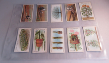 Load image into Gallery viewer, WILLS CIGARETTE CARDS GARDENING HINTS COMPLETE SET OF 50 IN CLEAR PLASTIC PAGES
