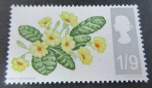 Load image into Gallery viewer, 1966 FLOWERS 4d 9d &amp; 1/9 - 14 STAMPS MNH PRESENTED IN CLEAR FRONTED STAMP HOLDER
