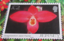 Load image into Gallery viewer, QUEEN ELIZABETH II JERSEY ORCHIDS V MINISHEET &amp; CLEAR FRONTED STAMP HOLDER
