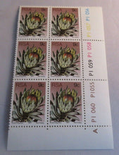 Load image into Gallery viewer, 1977 PROTEA ROUPELLIOE DICK FINDLAY RSA 9c BLOCK OF 6 STAMPS MNH
