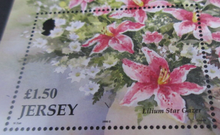 Load image into Gallery viewer, QUEEN ELIZABETH II FLOWERS FROM JERSEY £1.50 MINISHEET &amp; STAMP HOLDER
