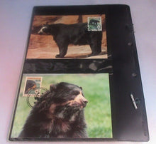 Load image into Gallery viewer, Spectacled Bear WWF Info Sheets Exclusive Stamps from Bolivia and FDC&#39;s
