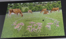 Load image into Gallery viewer, QUEEN ELIZABETH II JERSEY NATURE FUNGI II MINISHEET &amp; STAMP HOLDER
