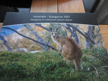 Load image into Gallery viewer, 2017 LIMITED EDITION 1 0F 500 .999 SILVER KANGAROO COIN RUTHENIUM &amp; HOLOGRAM

