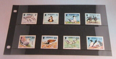 1975 JERSEY SEA BIRDS SET OF 8 MINT NEVER HINGED WITH CLEAR FRONTED STAMP HOLDER