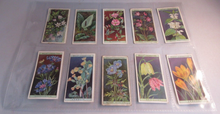 Load image into Gallery viewer, WILLS CIGARETTE CARDS WILD FLOWERS COMPLETE SET OF 50 IN CLEAR PLASTIC PAGES
