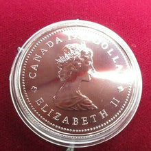 Load image into Gallery viewer, 1982 Canada Dollar CONSTITUTION PROOF Coin and Box IN HOLDER
