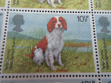 Load image into Gallery viewer, 1979 WELSH SPRINGER SPANIEL 10 1/2p BLOCK OF 12 STAMPS MNH
