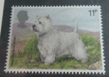 Load image into Gallery viewer, 1978 DOGS BRITISH POST OFFICE MINT STAMPS PRESENTATION PACK
