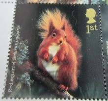 Load image into Gallery viewer, 2004 WOODLAND ANIMALS 1ST CLASS SET OF TEN STAMPS MNH PRESENTED IN STAMP HOLDER
