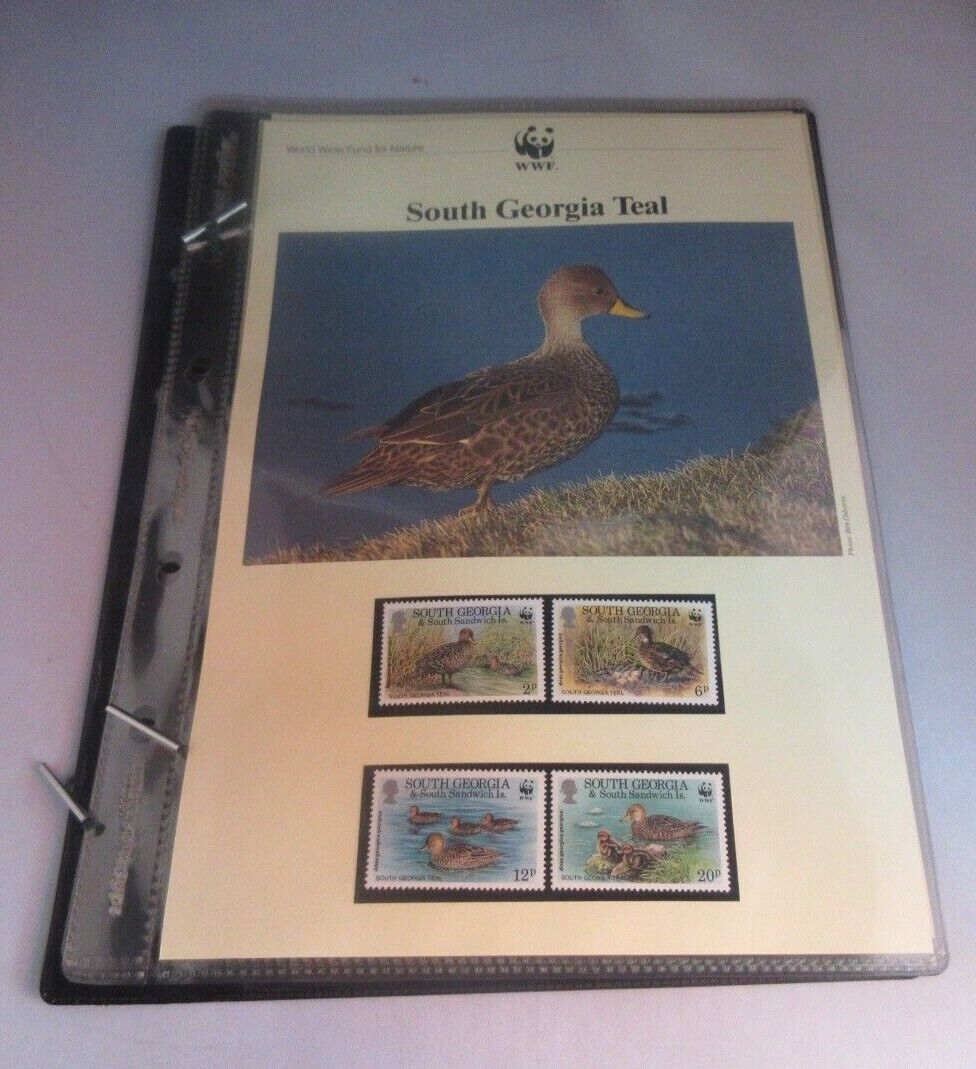 South Georgia Teal WWF Info Sheets Exclusive Stamps from South Georgia and FDC's