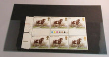 Load image into Gallery viewer, 1978 SHETLAND PONY 10 1/2p BLOCK OF 6 STAMPS MNH WITH TRAFFIC LIGHTS
