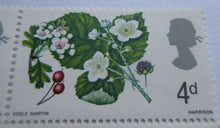 Load image into Gallery viewer, 1966 FLOWERS 4d BLOCK OF 4 STAMPS MNH WITH CLEAR FRONTED STAMP HOLDER
