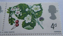 Load image into Gallery viewer, 1966 FLOWERS 4d 6 STAMPS MNH WITH TRAFFIC LIGHTS &amp; CLEAR FRONTED STAMP HOLDER
