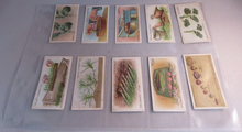 Load image into Gallery viewer, WILLS CIGARETTE CARDS GARDENING HINTS COMPLETE SET OF 50 IN CLEAR PLASTIC PAGES
