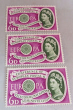 Load image into Gallery viewer, 1960&#39;S VARIOUS QUEEN ELIZABETH II 14 PRE DECIMAL STAMPS MNH IN STAMP HOLDER
