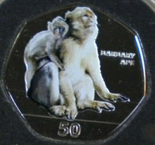 Load image into Gallery viewer, 2018 PRIMATES OF GIBRALTAR COLOURED DIAMOND FINISH 50P COIN IN CAPSULE &amp; POUCH
