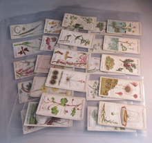 Load image into Gallery viewer, PLAYERS CIGARETTE CARDS STRUGGLE FOR EXISTENCE COMPLETE SET OF 25 IN CLEAR PAGES
