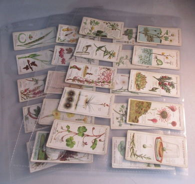 PLAYERS CIGARETTE CARDS STRUGGLE FOR EXISTENCE COMPLETE SET OF 25 IN CLEAR PAGES