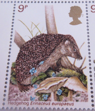 Load image into Gallery viewer, 1977 BRITISH WILDLIFE 9p 20 X STAMPS MNH WITH TRAFFIC LIGHTS &amp; STAMP HOLDER
