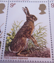 Load image into Gallery viewer, 1977 BRITISH WILDLIFE 9p 20 X STAMPS MNH WITH TRAFFIC LIGHTS &amp; STAMP HOLDER
