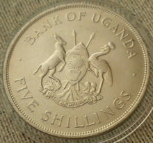 Load image into Gallery viewer, 1968 PRODUCE MORE FOOD BANK OF UGANDA FIVE SHILLING COIN IN CLEAR CAPSULE
