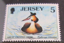 Load image into Gallery viewer, 1975 JERSEY SEA BIRDS SET OF 8 MINT NEVER HINGED WITH CLEAR FRONTED STAMP HOLDER
