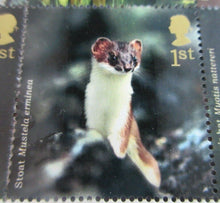 Load image into Gallery viewer, 2004 WOODLAND ANIMALS 1ST CLASS SET OF TEN STAMPS MNH PRESENTED IN STAMP HOLDER
